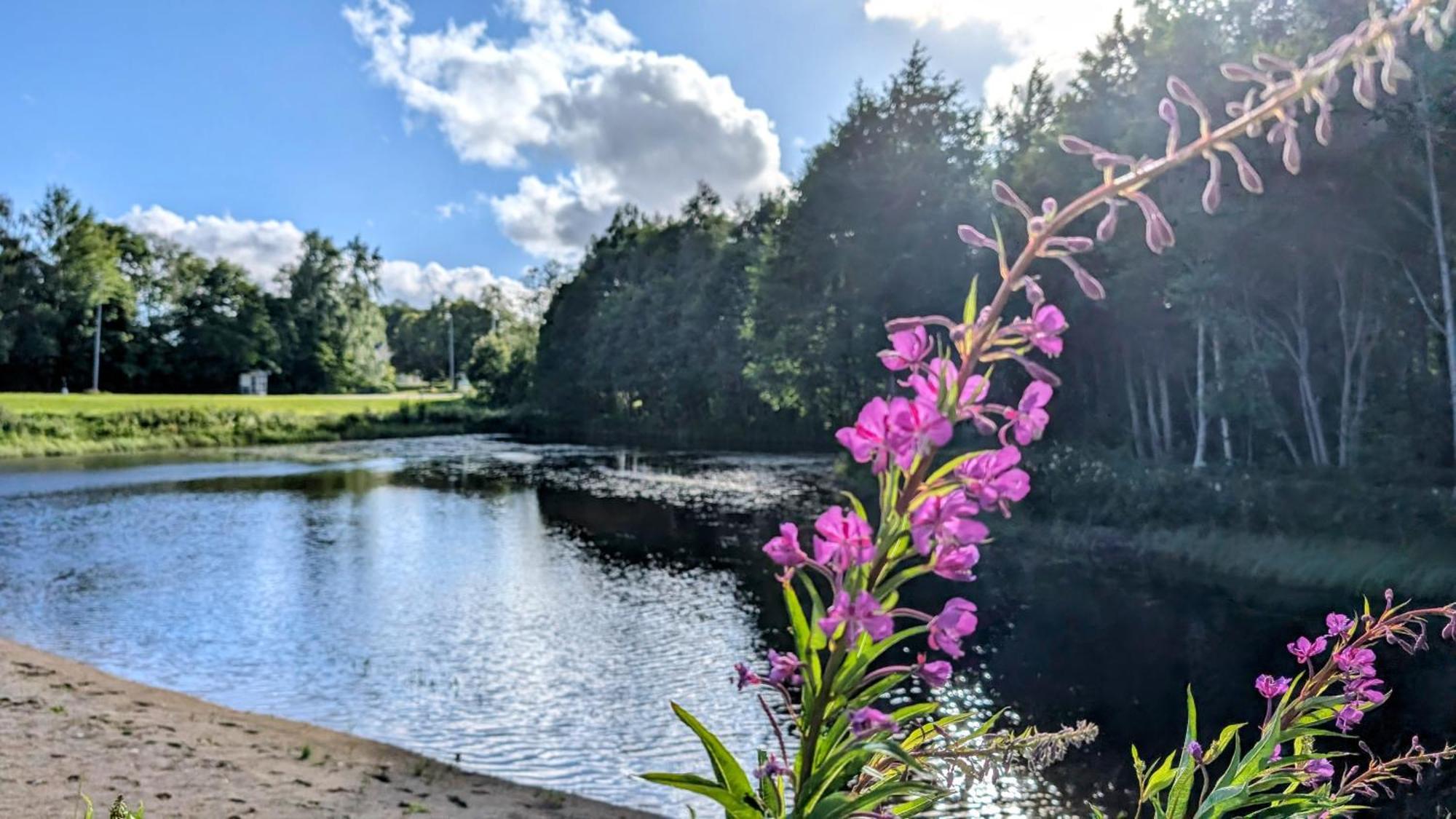 Rolig Haest, Kaneeling Stugby Ab Villa Dalskog Exteriör bild